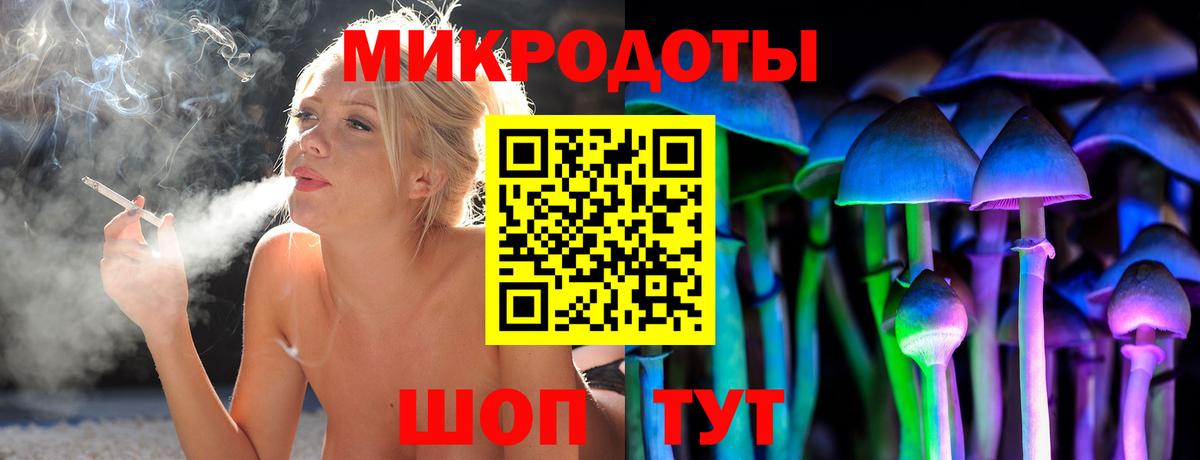 Псилоцибиновые грибы мухоморы  продажа наркотиков  Галлюциногенные грибы Psilocybe  Самара  Вход с VPN 